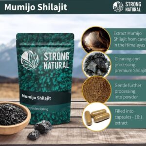 SHILAJIT