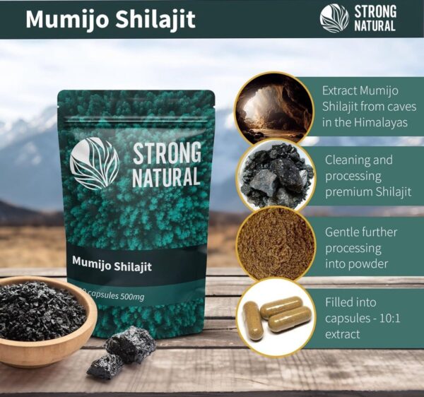SHILAJIT